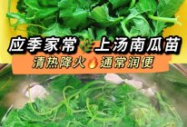 上汤南瓜苗应季家常靓汤的做法