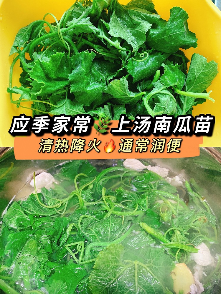 上汤南瓜苗应季家常靓汤的做法
