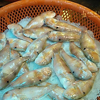 鹦哥鱼饭：潮菜鱼类菜肴中的冷菜的做法图解1