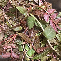 香椿炒鸡蛋的做法图解1