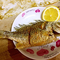 干煎黄翅鱼的做法图解4