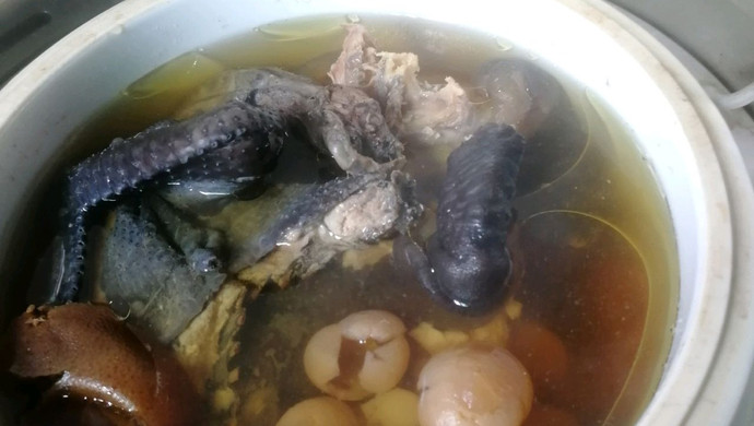 龟元汤