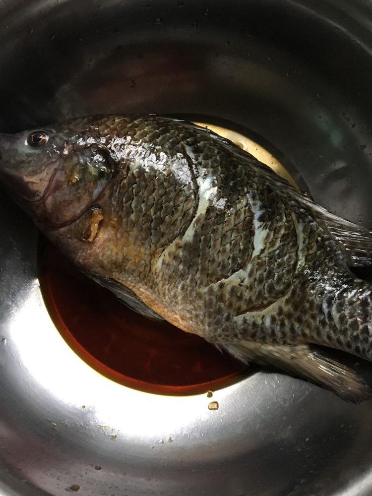 罗非鱼的做法