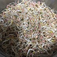 绿豆芽成长记的做法图解10