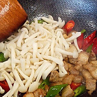 白玉菇炒肉片的做法图解9