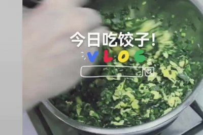 看水饺皇后吃鸡蛋馅的饺子