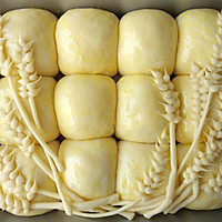 麦香原味挤挤小面包的做法图解18