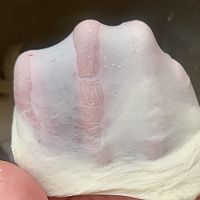 披萨饼胚的做法图解4