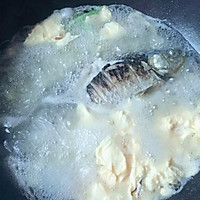 鲫鱼蛋花汤的做法图解6