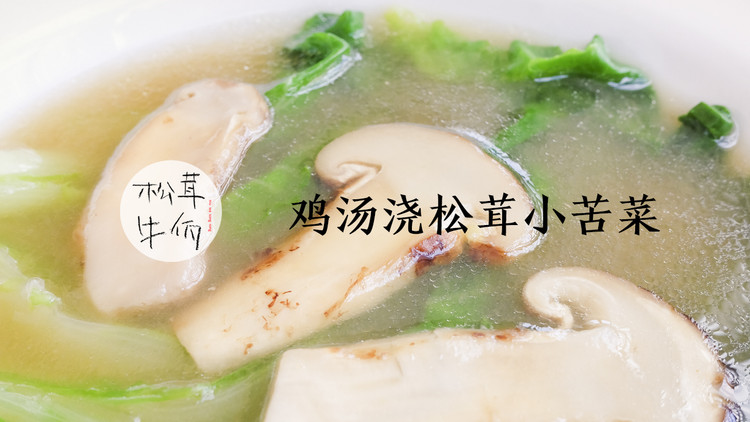 鸡汤浇松茸小苦菜｜牛佤松茸食谱的做法