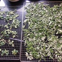 止痒驱蚊：薄荷膏--添加艾叶金银花的做法图解5