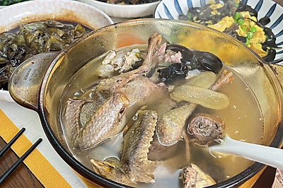 鸽子汤