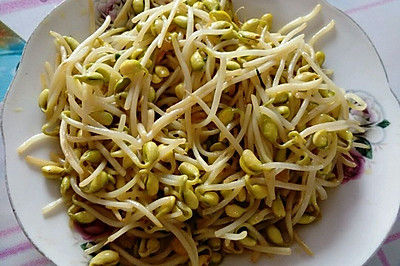 炒豆芽