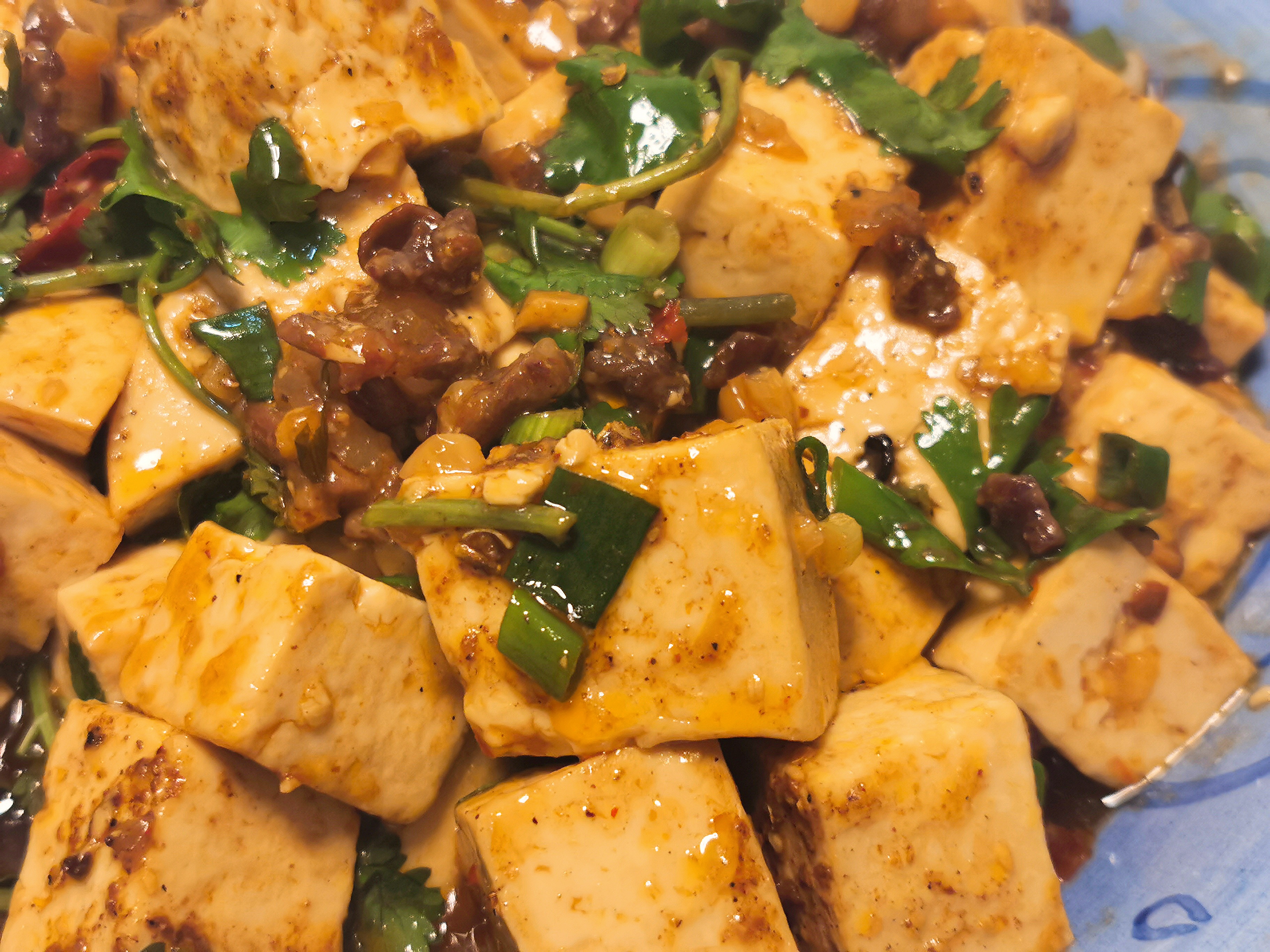 Mapo Tofu