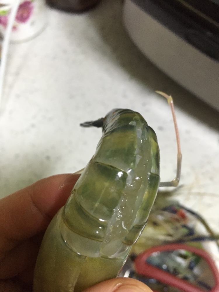 蒜泥蒸虾#方太一代蒸传#的做法图解2
