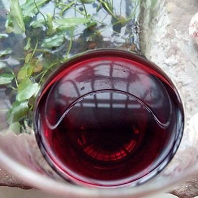 自酿野生山葡萄酒