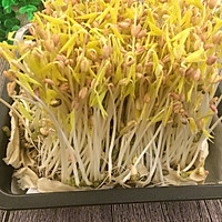 自发豆芽 | 炒韭菜的做法图解5