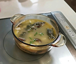家常昂刺鱼豆腐汤的做法