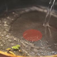 冬虫夏草镜箱豆腐——这样的镜箱豆腐怎能不爱？的做法图解13