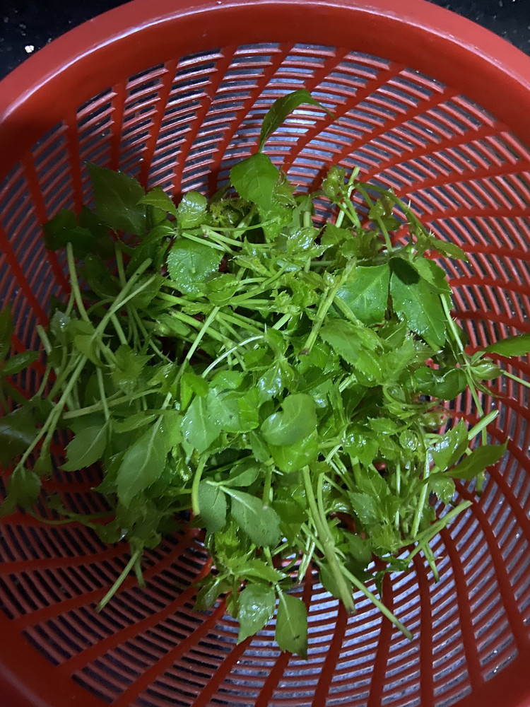 苦刺心汤的做法