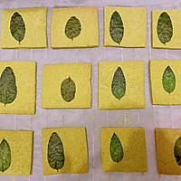 薄荷饼干的做法图解7