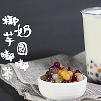 2019网红奶茶配方教程，喜茶乐乐茶之椰奶芋圆嘟嘟茶的做法的做法图解8