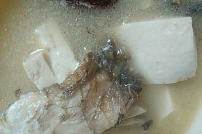 豆腐鲫鱼