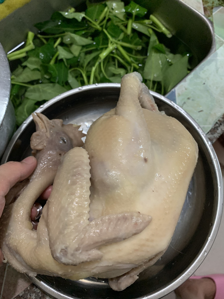 家常白切鸡的做法