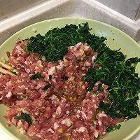 荠菜饺子，一口咬下去满满的幸福味道的做法图解5