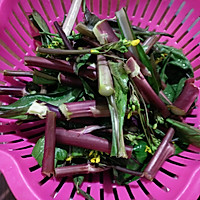 爆炒紫菜苔的做法图解2