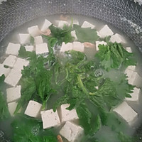芹菜叶豆腐汤的做法图解2