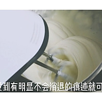 #夏日消暑，非它莫属#椰子冰糕—满口椰肉的冰激凌的做法图解10