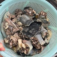 甲鱼煲的做法图解4