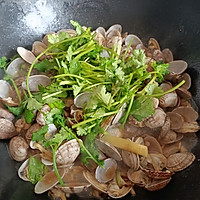清炒花蛤的做法图解8