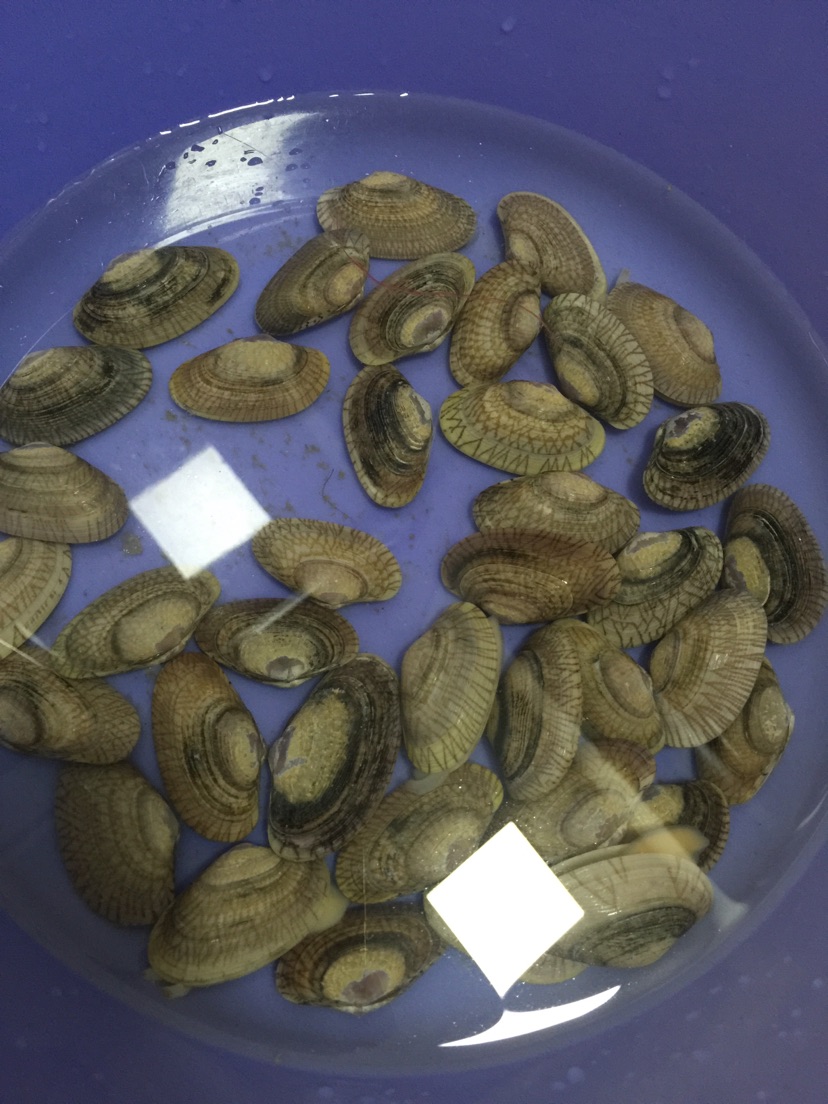 辣炒蛤蜊的做法图解1