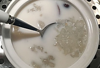 椰汁炖雪蛤的做法