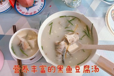 营养丰富的黑鱼豆腐汤