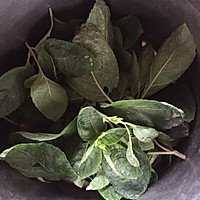 百香果柠檬薄荷蜂蜜茶的做法图解3