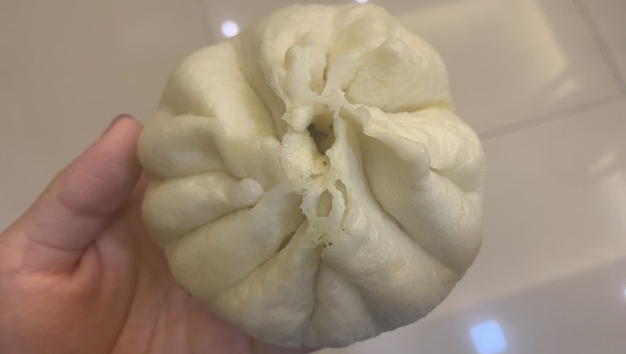 营养蔬菜肉包子