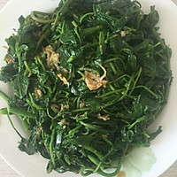 拌辣椒叶•凉拌菜的做法图解6