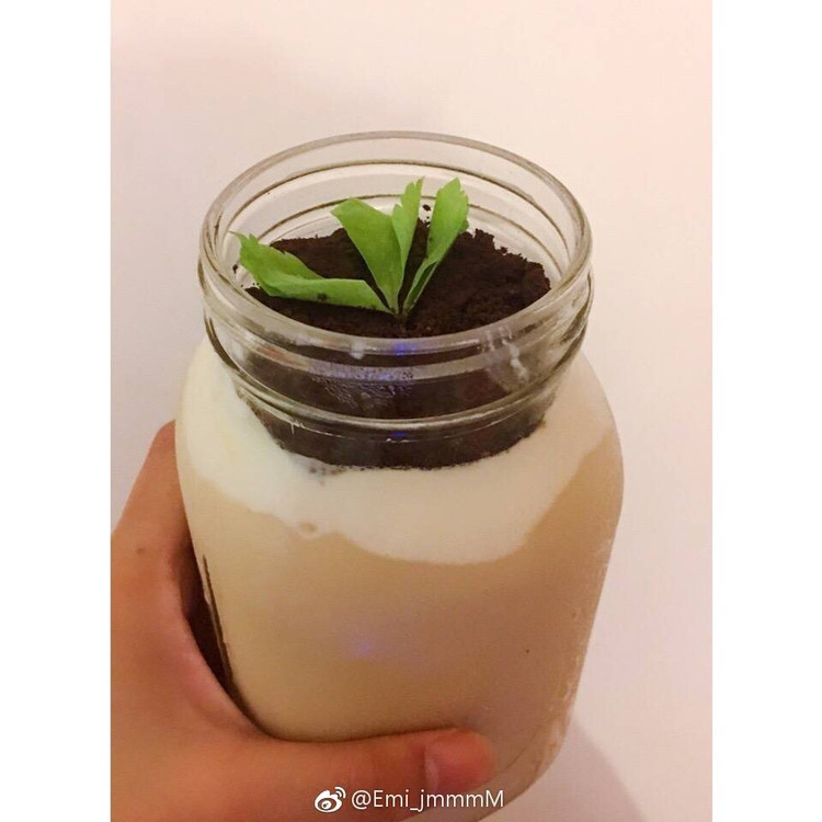 盆栽奶盖奶茶的做法