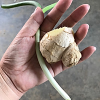 斑鸠西洋参汤的做法图解3
