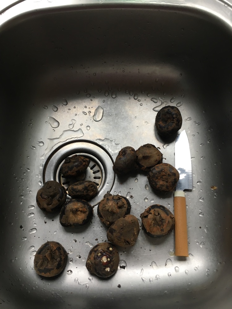 清纯荸荠羹的做法图解1