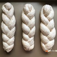 全麦酸奶辫子面包（一次发酵法）的做法图解13