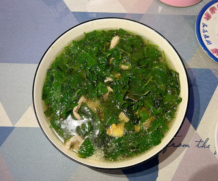 广东靓汤—枸杞叶瘦肉汤的做法