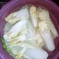 清炒北京白的做法图解2