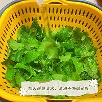 鲜薄荷叶保存法的做法图解3