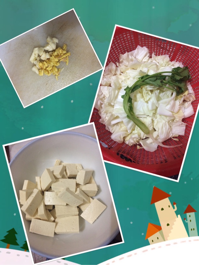 白菜猪肉炖豆腐的做法图解1