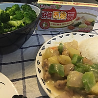 西趣奶炖鸡肉饭的做法图解3
