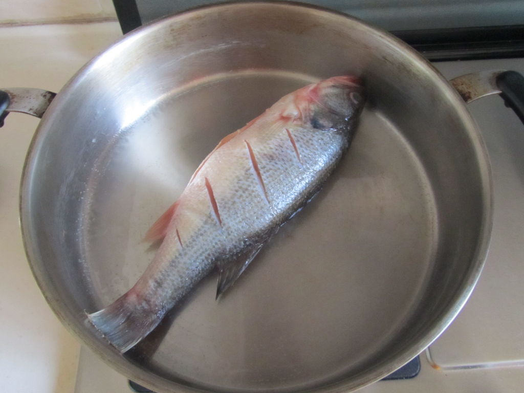 鱼类-批发供应冷冰鲜冻冻鲈鱼独立真空500克左右每条-鱼类尽在阿里巴巴-潘玲食品...